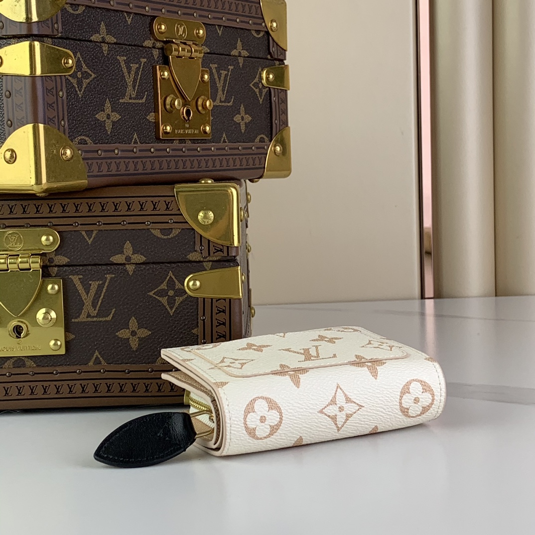 Louis Vuitton Wallets Purse